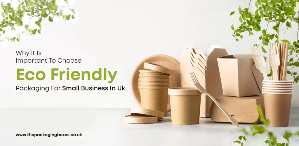eco-friendly boxes small business