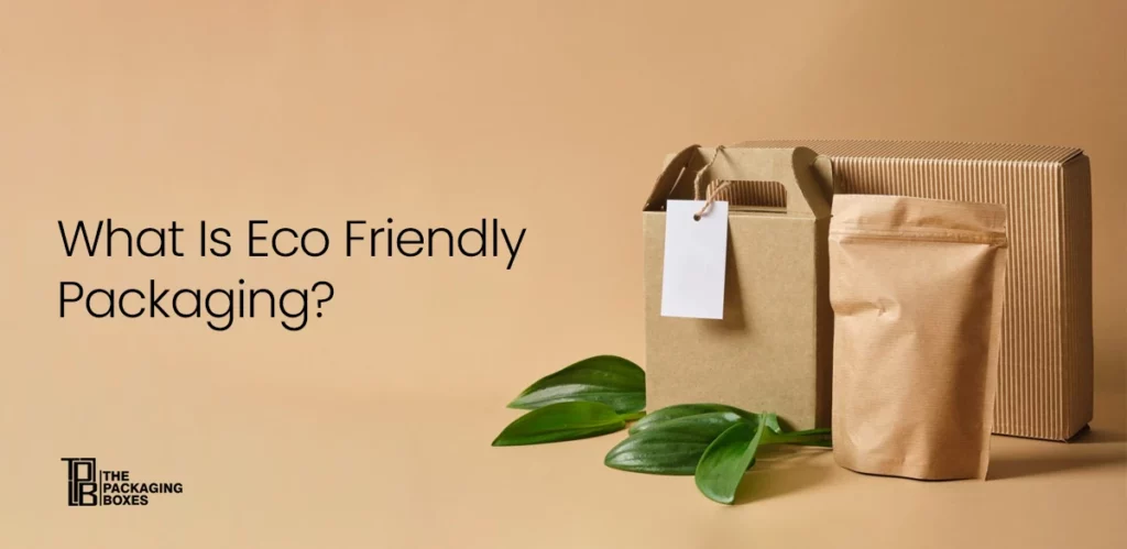 What Is Eco Friendly Packaging