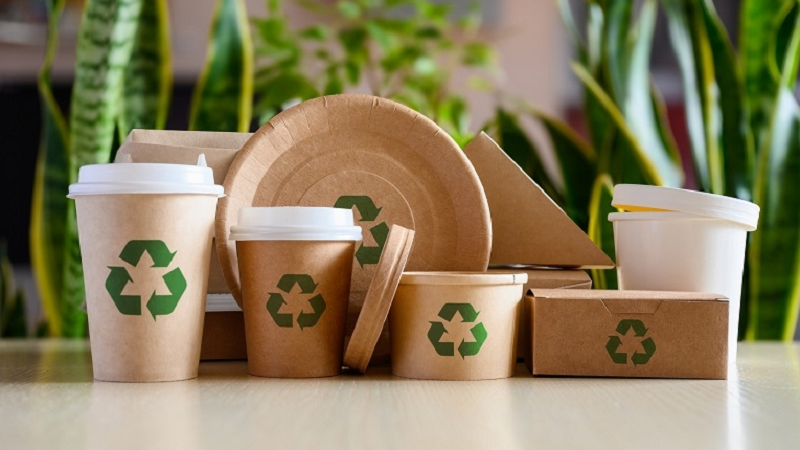 What Is Eco Friendly Packaging Materials